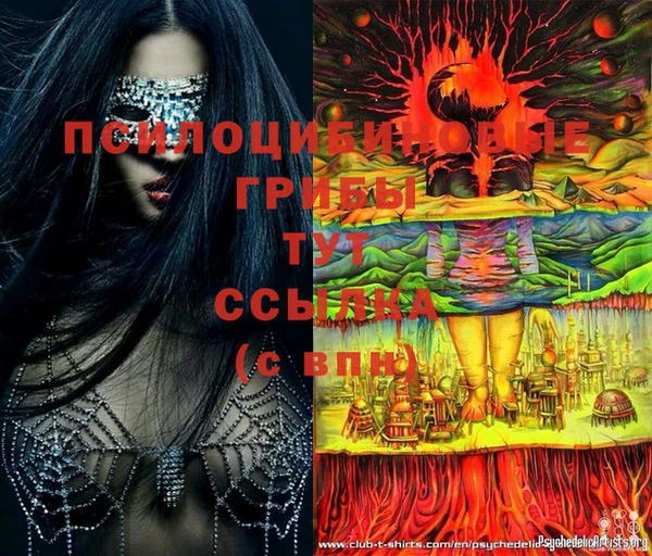 марки lsd Приозерск
