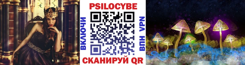 мега вход  Дно  Галлюциногенные грибы Psilocybine cubensis 